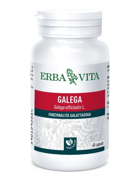 GALEGA 60 CAPSULE