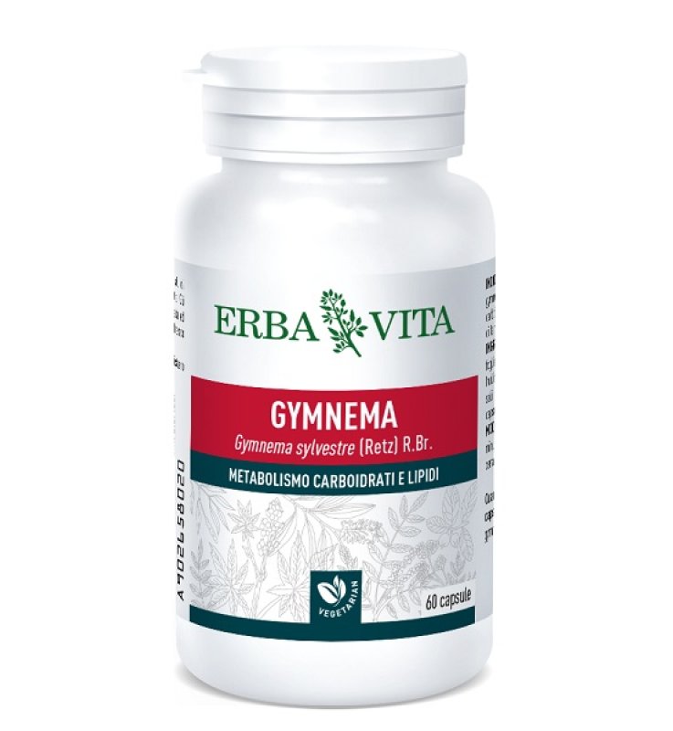 GYMNEMA SYLVESTRE 60 CAPSULE 350 MG