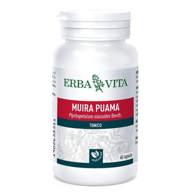 MUIRA PUAMA 60 CAPSULE 400 MG MUIRA PUAMA 60 CAPSULE 400 MG