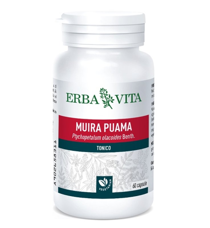 MUIRA PUAMA 60 CAPSULE 400 MG