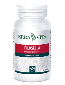 PILOSELLA 60 CAPSULE 400 MG