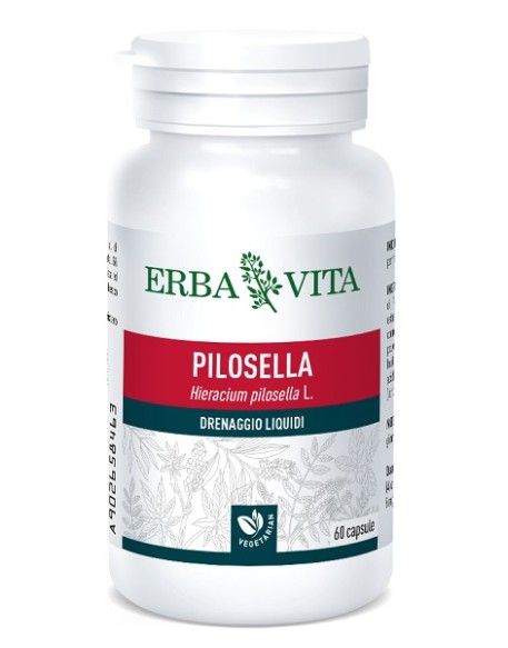 PILOSELLA 60 CAPSULE 400 MG