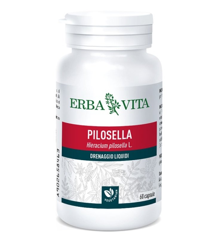 PILOSELLA 60 CAPSULE 400 MG