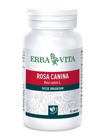 ROSA CANINA 60CPS 400MG EBV <