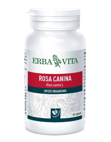 ROSA CANINA 60CPS 400MG EBV <