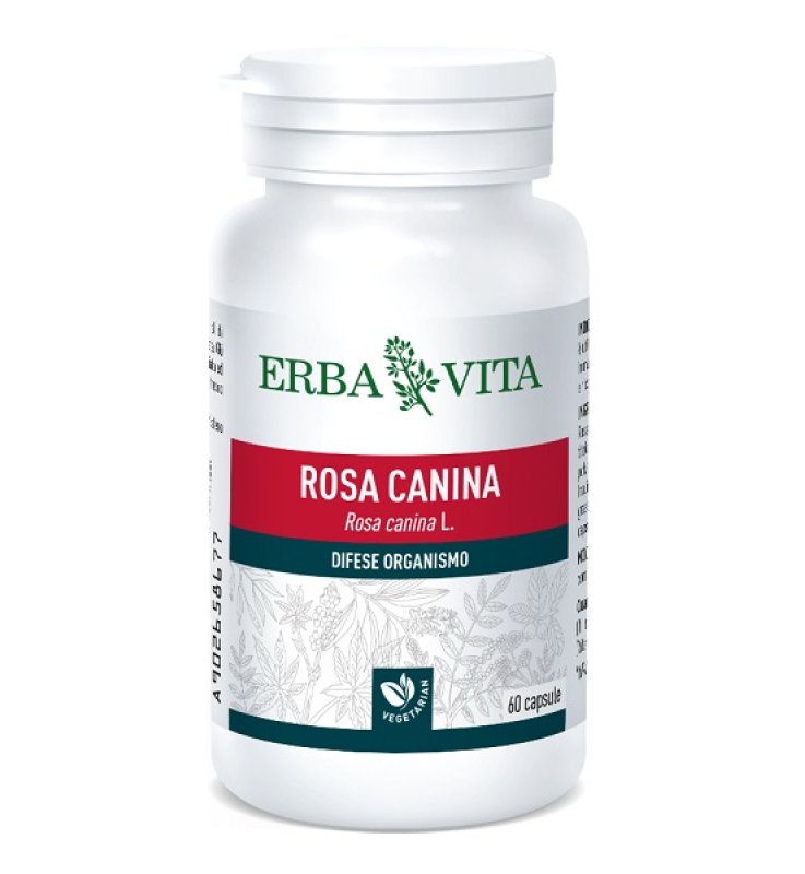 ROSA CANINA 60CPS 400MG EBV <