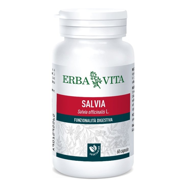 SALVIA 60 CAPSULE SALVIA 60 CAPSULE