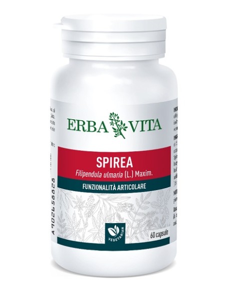 SPIREA ULMARIA 60CPS 400MG ERBA