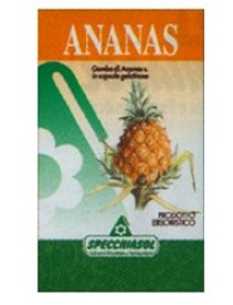 ANANAS Gambo  80 Cps      SPEC