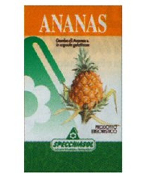 ANANAS Gambo  80 Cps      SPEC