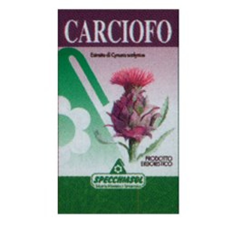 CARCIOFO ERBE 60CPS SPECCHIASOL CARCIOFO ERBE 60CPS SPECCHIASOL