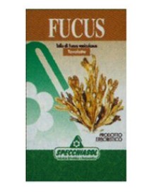 FUCUS ERBE 150TAV SPECCH