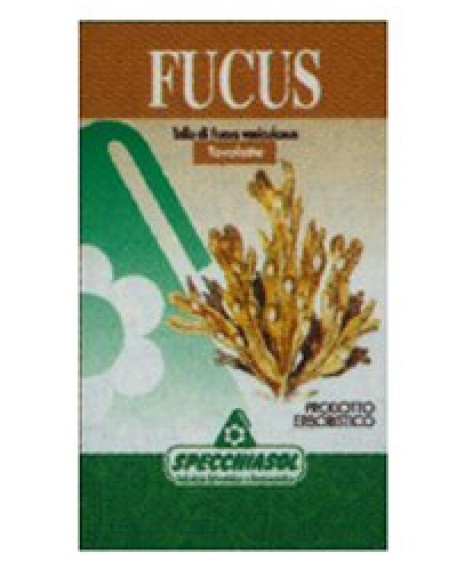 FUCUS ERBE 150TAV SPECCH