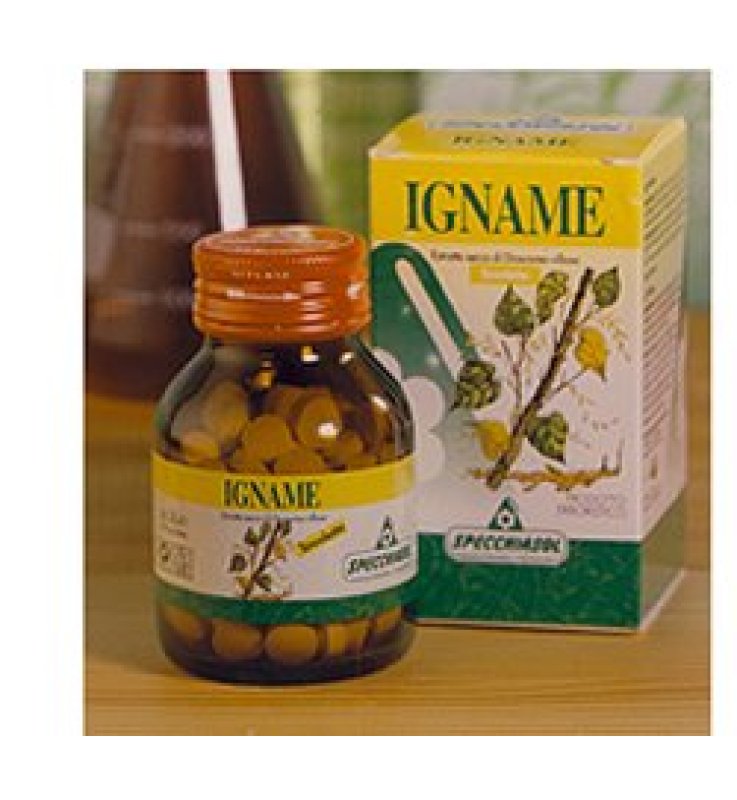 IGNAME ERBE 60TAV IGNAME ERBE 60TAV