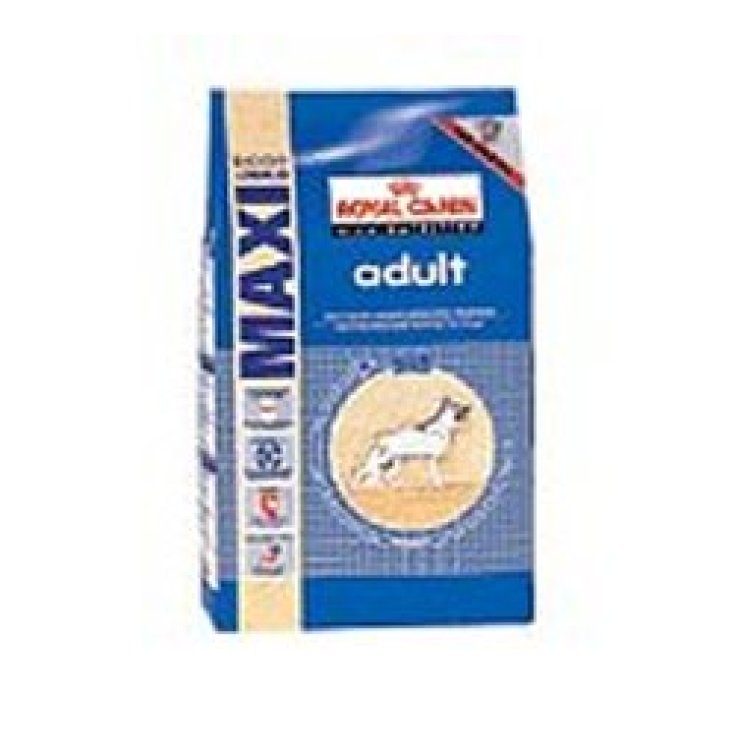 V SHN MAXI ADULT 4KG V SHN MAXI ADULT 4KG