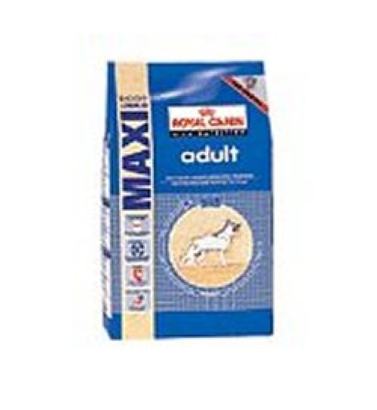 V SHN MAXI ADULT 4KG