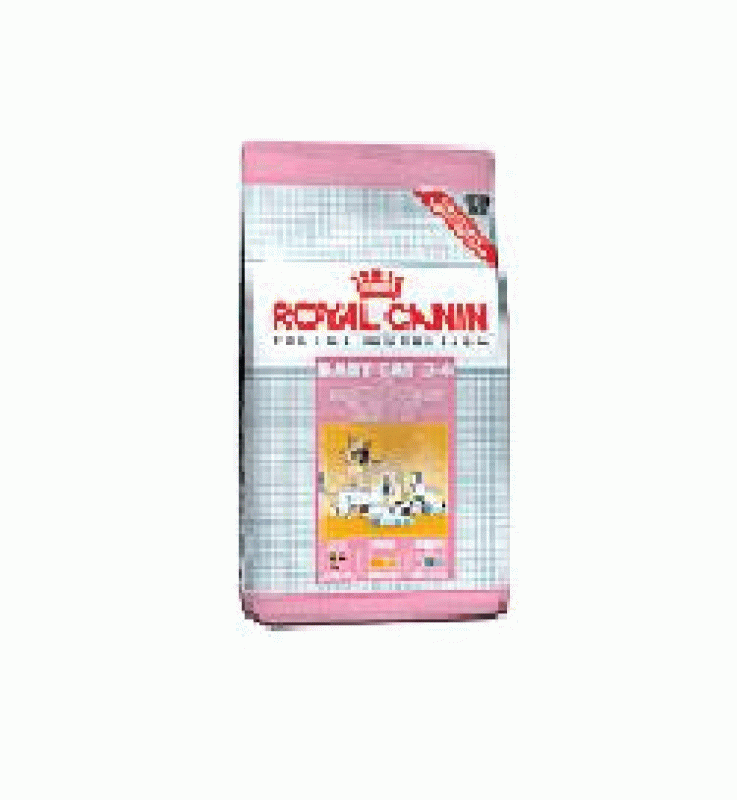 V RC CAT BABYCAT34 400GR SE