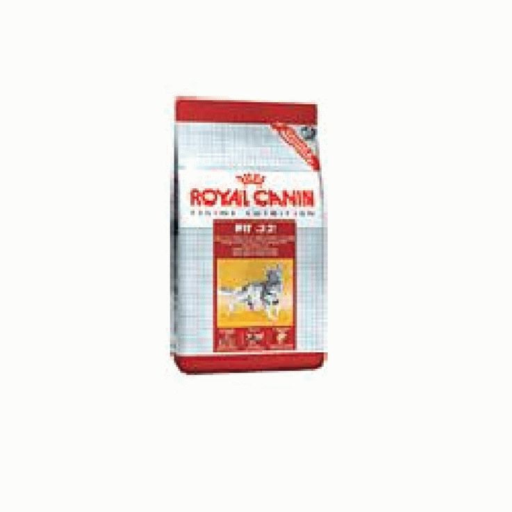 V RC CAT FHN FIT 32 4KG V RC CAT FHN FIT 32 4KG