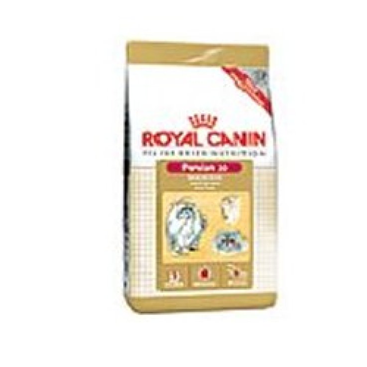 V RC CAT PERSIAN BN 30 2KG V RC CAT PERSIAN BN 30 2KG
