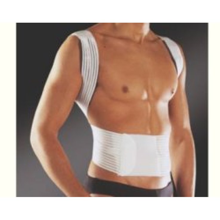 PAVIS RADDR.SPALLE 576 N/E SM 28 PAVIS RADDR.SPALLE 576 N/E SM 28