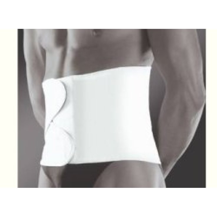PAVIS 675 FASC POSTOP H30 LA 94- PAVIS 675 FASC POSTOP H30 LA 94-
