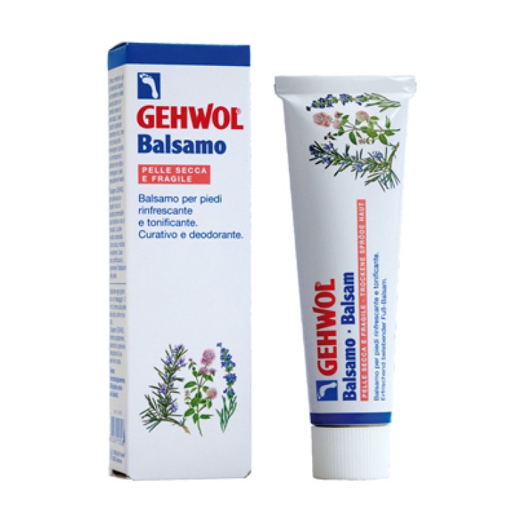 GEHWOL-BALS PIE P-SECC 75ML GEHWOL-BALS PIE P-SECC 75ML