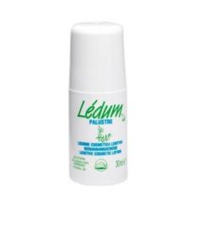 LEDUM ROLL ON LENIT 30ML