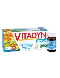 VITADYN Junior 10fl.10ml