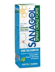 SANAGOL SPRAY FORTE ERBE BALSAMICHE 20 ML