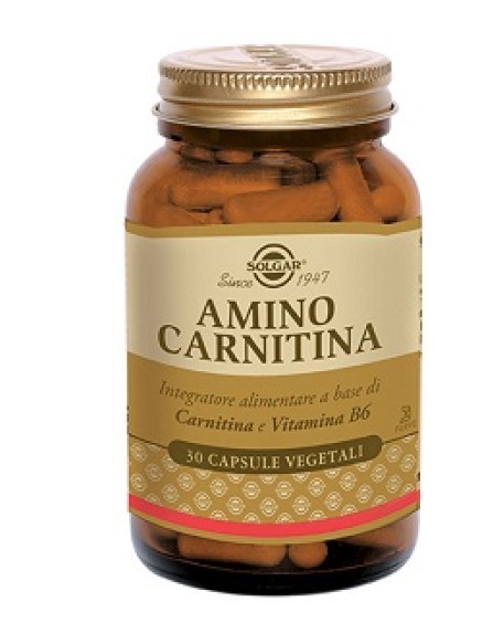 AMINO CARNITINA 30 CAPSULE