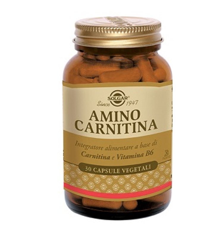 AMINO CARNITINA 30 CAPSULE
