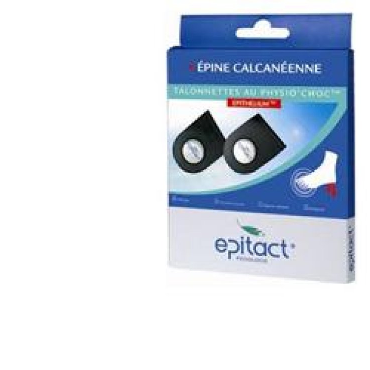 EPITACT PLANT TALL U EPITH/PHY EPITACT PLANT TALL U EPITH/PHY