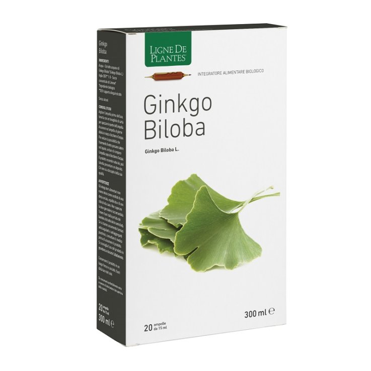 GINKGO BILOBA 20AB 15ML GINKGO BILOBA 20AB 15ML