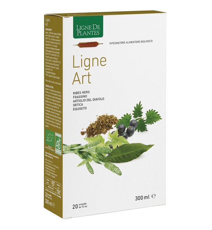 LIGNE ART BIO 20 AMPOLLE 15ML