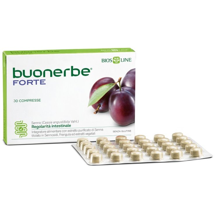 BUONERBE REGOLA FT 30TAV BUONERBE REGOLA FT 30TAV