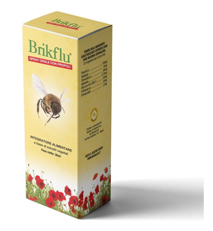 BRIKFLU Spray Nat.30ml