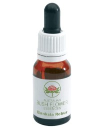 BUSH FLOWER BANKSIA ROBUR 15ML