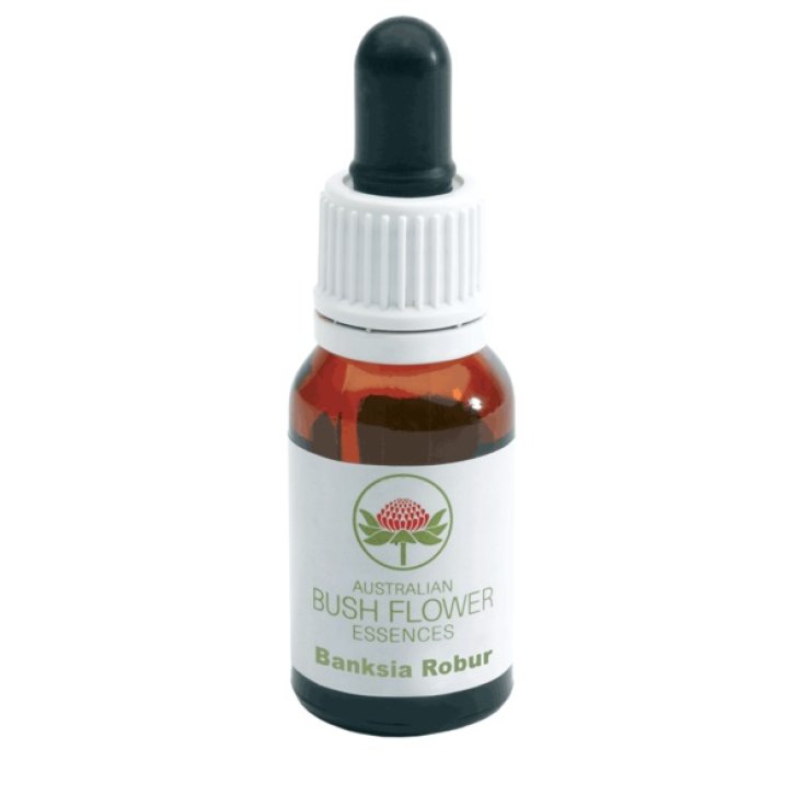 BUSH FLOWER BANKSIA ROBUR 15ML BUSH FLOWER BANKSIA ROBUR 15ML