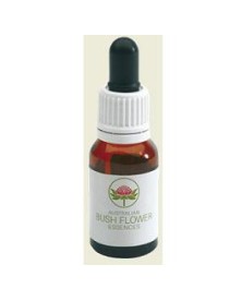 BUSH FLOWER MONGA WARATAH 15ML G