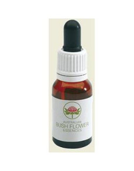 BUSH FLOWER MONGA WARATAH 15ML G