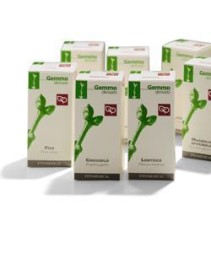 AGNOCASTO MG GTT 50ML FITOMEDICA