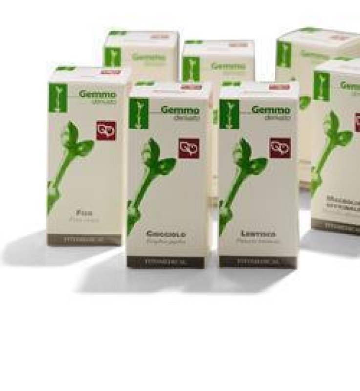 BETULLA PUBESC 50ML MG FTM