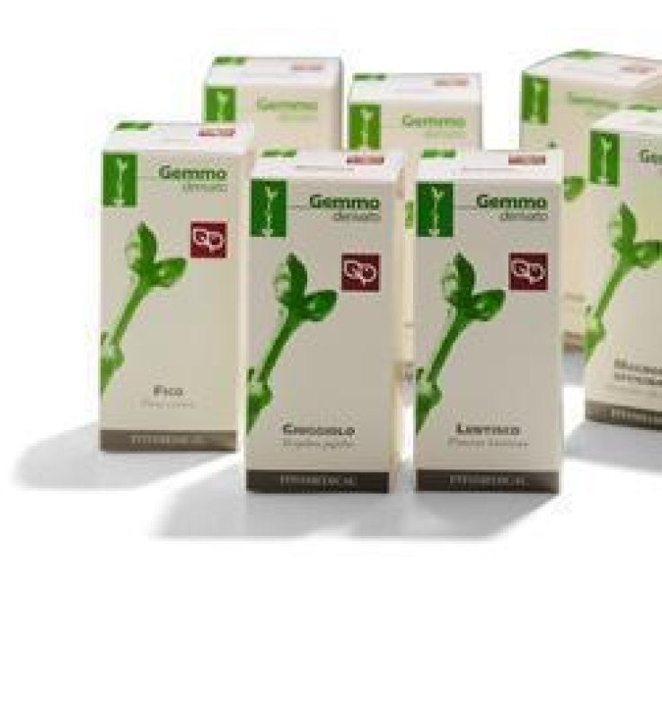 RIBES  NE MG 100ML FITOMEDICAL
