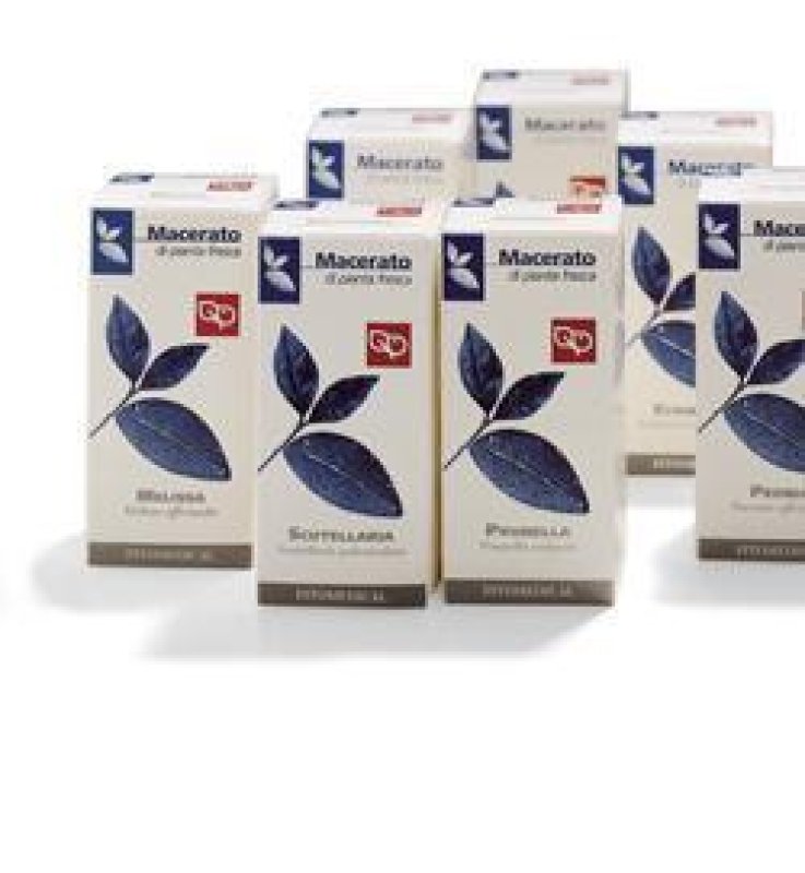 BALLOTA 50ML TM