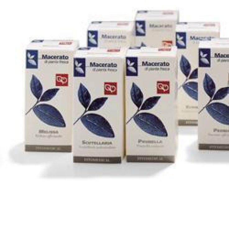 ECHINACEA TM 100ML FTM ECHINACEA TM 100ML FTM