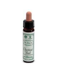 CHESTNUT BUD F BACH 10ML (I3) AI