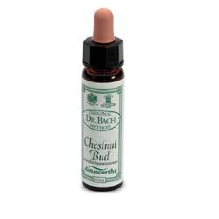CHESTNUT BUD F BACH 10ML (I3) AI CHESTNUT BUD F BACH 10ML (I3) AI