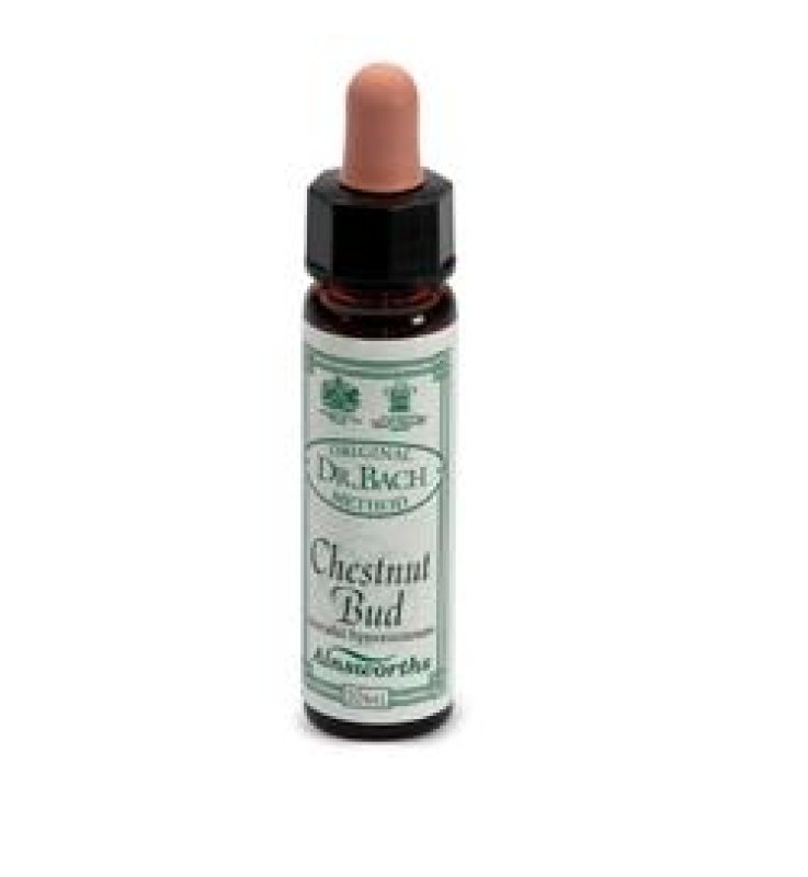CHESTNUT BUD F BACH 10ML (I3) AI