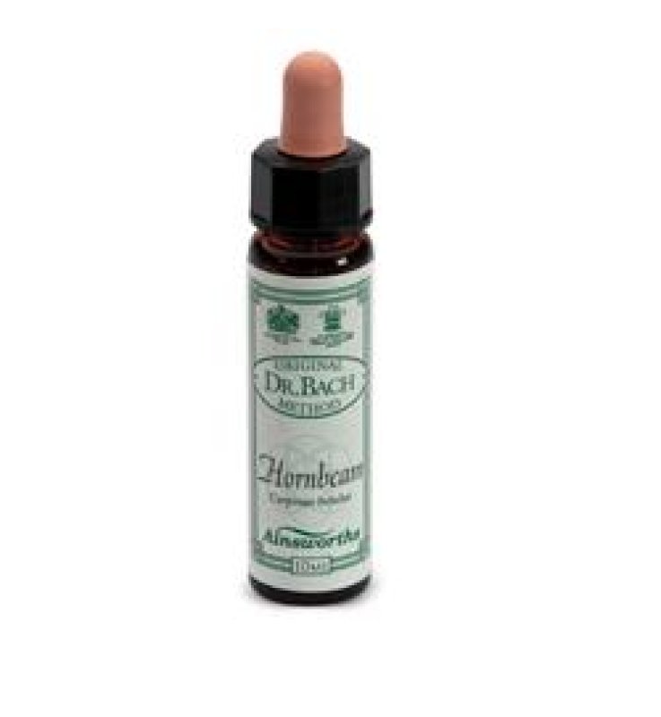 HORNBEAM 10ML AINSWORTH SANTIV