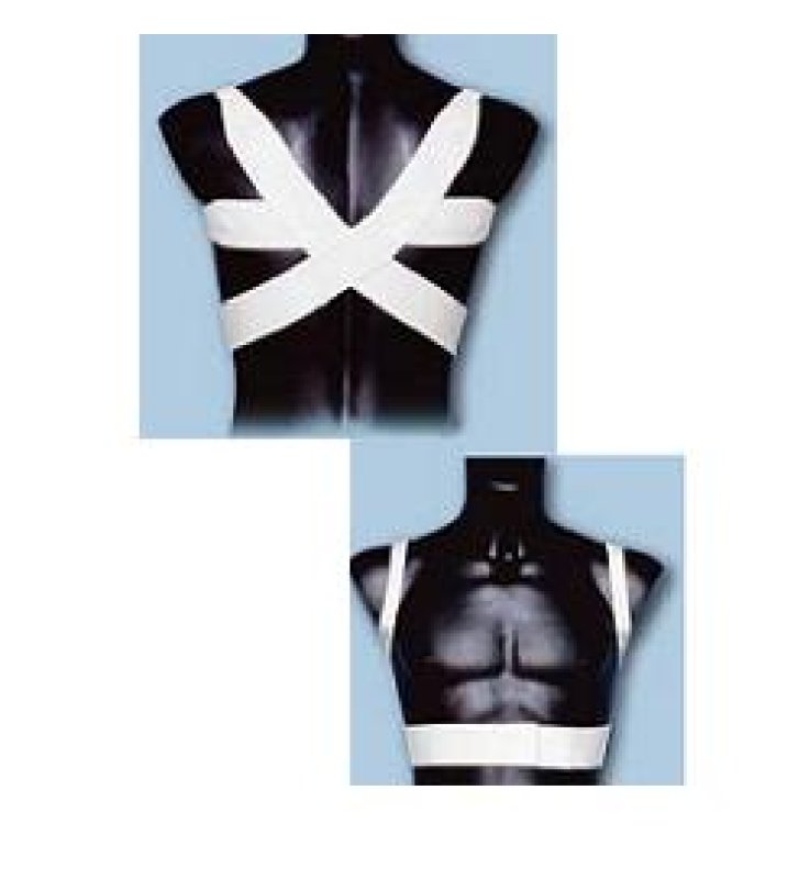 REGGISPALLE NERINA BI N3